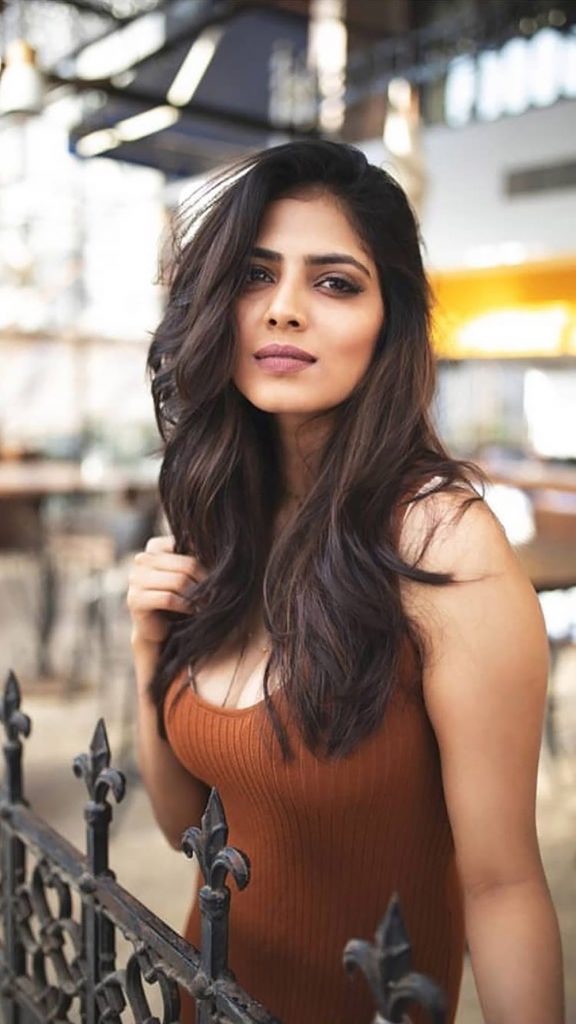 malavika mohanan hot photo in tight brown top